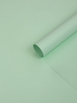 Цена за 20 шт. Бумага упаковочная крафт «Зелёный пастель», 50×70 см