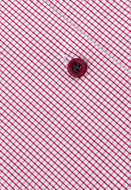 Сорочка мужская длинный рукав GREG 164/137/0142/Z/1p STRETCH_GB  фото 3