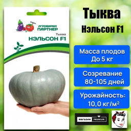 Тыква Нэльсон - Партнер фото 2