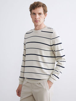 Bisiklet Yaka ?izgili Erkek Triko Kazak