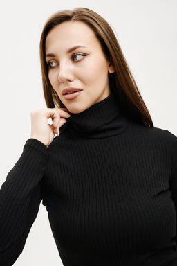 Водолазка 7364