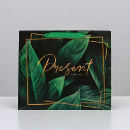 Цена за 2 шт. Пакет подарочный ламинированный, упаковка, «Present for you», ML 27×23×11.5 см