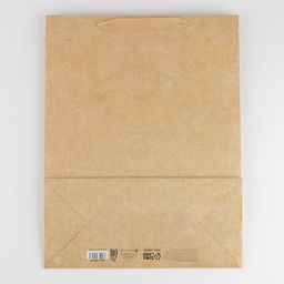 Пакет ламинированный Крафтовый, L 31 х 40 х 11.5 см - Дарите счастье фото 8