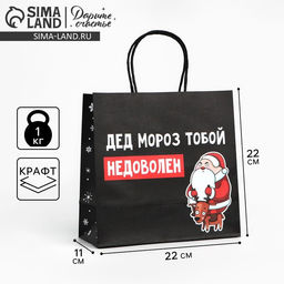 Цена за 2 шт. Пакет подарочный новогодний «Подарок, который ты заслужил», 22×22×11 см