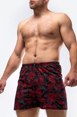 Мужские трусы с принтом дракон Happy Fox  фото 5