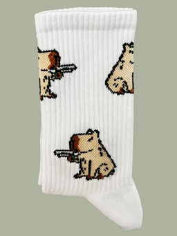 Носки р.40-45 TxT Капибара