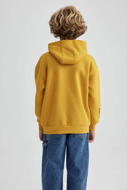 Толстый свитшот оверсайз с капюшоном для мальчика - Defacto фото 8