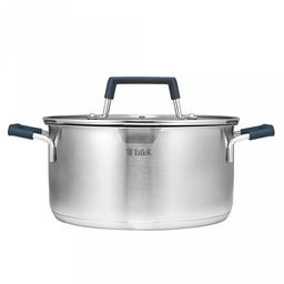 Кастрюля из нержавеющей стали "Ковентри" 4,4л, s0,6мм, дно s2,8мм, стеклянная жаропрочная крышка, обод крышки с перфорацией, ручки с силиконовыми вставками, цветная коробка, "TalleR" (Китай)