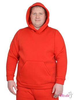 Толстовка Модель №843 размеры 44-84 - Plusmoda фото 2