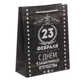 Цена за 2 шт. Пакет подарочный ламинированный, упаковка, С 23 февраля, MS 18?23?10 см