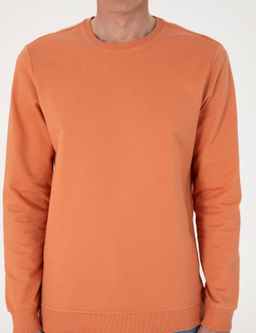 Somon 2 _plik Regular Fit Bisiklet Yaka Basic Sweatshirt - Pierre cardin фото 6