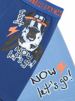 BUHB3272(2шт. в упаковке) трусы для мальчиков - Pelican фото 2