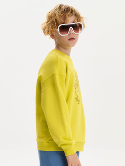 BFN3387U Толстовка для мальчиков