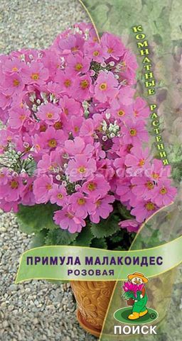 Примула малакоидес Розовая (ЦВ) (К) 10шт