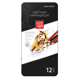Аква-колор Изостудия IZO-CPM12 Набор цветных карандашей заточенный 2 х 12 цв. в металлической коробке