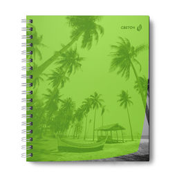 Светоч Т208 Тетрадь общая с пластик. обложкой, ч/б запечат. титульн.лист, 180 мкм., A5 48 л. на гребне 65 г/кв.м , белизна 100 % 4 шт. клетка 01546 Тайны природы, лайм  фото 4