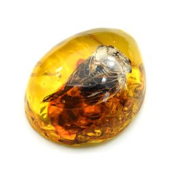 Кулон из янтаря искусственного капля 43*55мм жук Цикада, цв.медовый