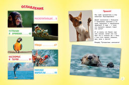 Самые милые животные. Большая энциклопедия для маленьких
