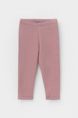 Crockid _ КР 400597/серая пудра к441 бриджи для дев