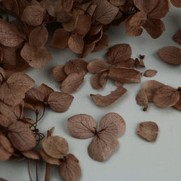 Набор для создания поддона из гипса с сухоцветами Круг - Школа талантов фото 8