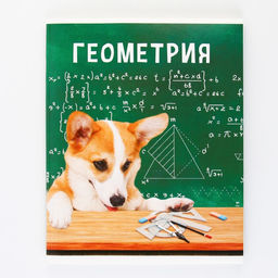 Предметная тетрадь, 48 листов, МИЛЫЕ ПИТОМЦЫ, со справочными материалами Геометрия, обложка мелованный картон 230 гр., внутренний блок в клетку 80 гр., белизна 96%,блок №1. - Artfox study фото 7