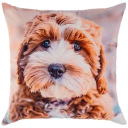 НАВОЛОЧКА 35*35 СМ, 100% П/Э, ТКАНЬ, ПЕЧАТЬ