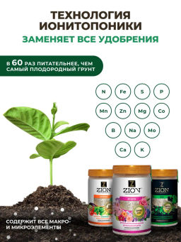 4 шт. ЦИОН для клубники (пролонгированное питание для растений), саше 30г