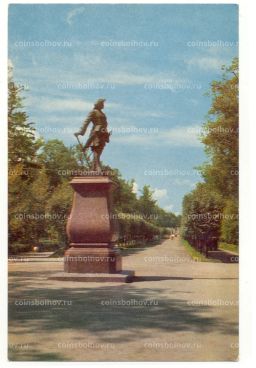 Открытка Ленинград  Петродворец. Статуя Петра I