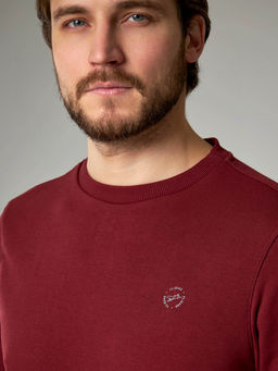 Толстовка мужская арт. 05198 - F5 фото 7