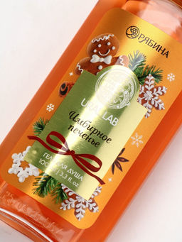 Подарочный набор новогодний Ароматы праздника, гель для душа, печенье, 100 мл и носки, URAL LAB