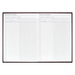 Ежегодник учителя арт. 62336 БОРДОВАЯ ФАКТУРА - Феникс+ фото 14