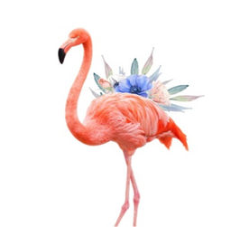Алмазная мозаика без подрамника "Фламинго 4", 15х20 см