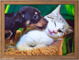 Картина 5D 30х40 059 Щенок и котёнок / ZR8210H-222411 / - Галеонтрейд фото 2