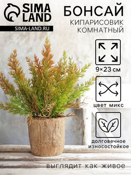 Искусственный цветок в горшке «Кипарисовик комнатный», 9×23 см, МИКС