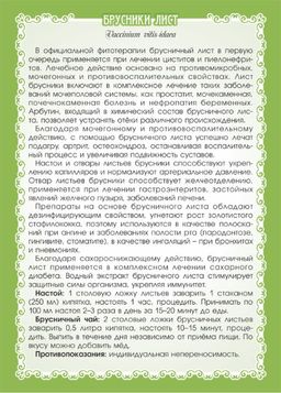 2 шт. Брусника (лист) - Мариславна фото 3