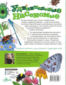 Удивительные насекомые - Аст фото 3