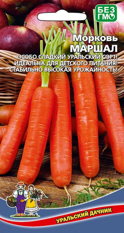 Морковь МАРШАЛ  Особо сладкий сорт! Идеальна для детского питания! Стабильно высокая урожайность!