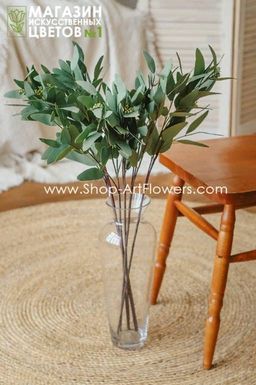 087 Эвкалипт Николя - Без тм фото 3