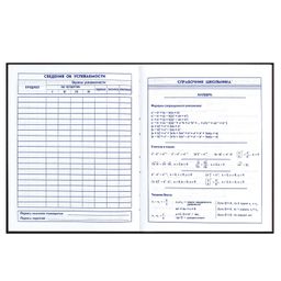 Дневник школьный 5-11 класс арт. 60095 СКЕЙТ АРТ - Феникс+ фото 9