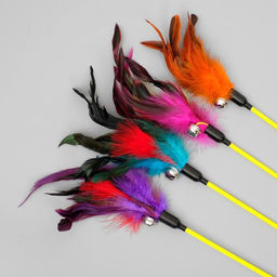 Дразнилка Фазан с бубенчиком, 50 см, микс цветов - Пижон фото 3