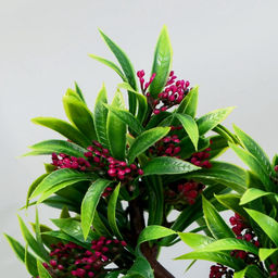 Бонсай искусственный в горшке «Деревце яркое», 10×20 см, МИКС