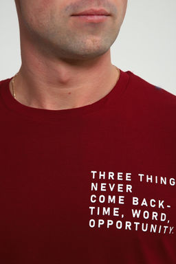 Футболка мужская 052