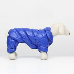 Комбинезон Блеск, размер XS (ДС 19 см, ОГ 28, ОШ 19 см, до 3 кг), синий - Simaland фото 2