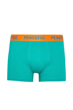 Комплект боксеров стандартной посадки (3 шт.) - Defacto фото 9