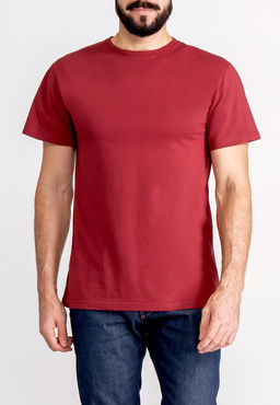 Футболка мужская короткий рукав GREG G145-RD-1061_R (бордовый)