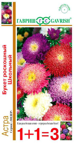 Букет роскошный школьный астра 0,5г (г)
