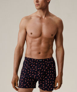 ATLANTIC 2GMB-010 Трусы боксеры Socks - набор 2 шт. темно-синий фото 2