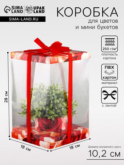 Коробка PVC, для цветов и букетов, с лентой, 28?18?18 см, красный