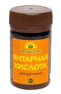 БТ Янтарная кислота 50 мл