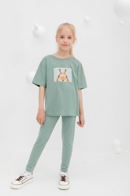 КР 4074/полынь к403, бриджи